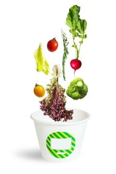 Assorted fresh vegetables falling into a carton Stock Photos