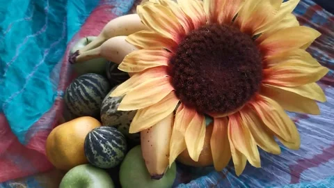 Assorted Fruits On Color Background 4 Video stock 142604257