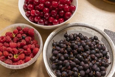 Assorted garden berries including sour cherries, raspberries and black curr.. Stock Photos