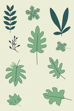 Assorted Green Leaf Illustrations Stock Illustration