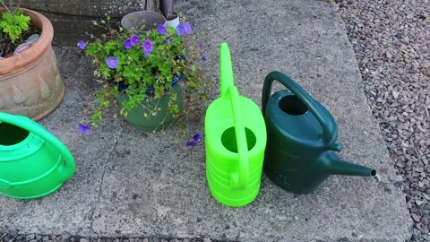 Assorted green watering cans in use during drought in the garden. Vidéo 344322389