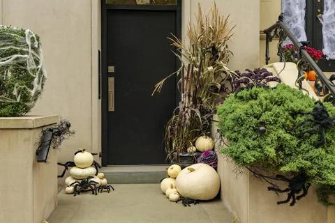 Assorted Halloween decorations guard the front steps of a house. Pumpkins on a Stock Photos