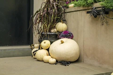 Assorted Halloween decorations guard the front steps of a house. Pumpkins on a Stock Photos