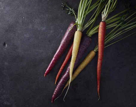 Assorted Heirloom Carrots on Dark Background Stock Photos