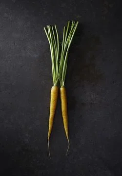 Assorted Heirloom Carrots on Dark Background Stock Photos