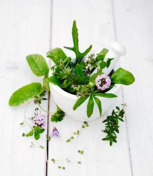 Assorted herbs Stock Photos