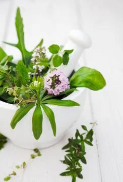 Assorted herbs Stock Photos