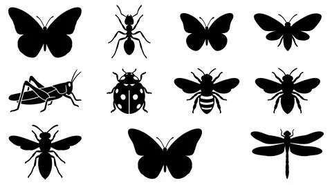 Assorted insect silhouette collection with nature themed design projects Stock Illustration