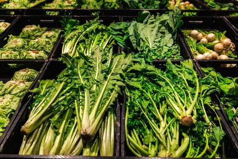 Assorted Leafy Greens and Root Vegetables in Black Produce Crates Stock Photos