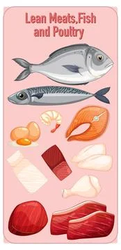 Assorted Lean Meats, Fish, and Poultry Vector Illustration Illustrazione stock