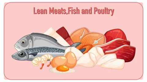 Assorted Lean Meats, Fish, Eggs, and Poultry Illustration Illustrazione stock