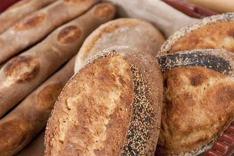 Assorted loaves of bread. Stock Photos
