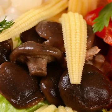 Assorted marinated vegetables and mushrooms Stock Photos