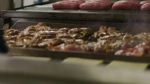 Assorted Meat Bbq Pork Chicken Beef and Polenta Cuisine Restaurant Roasts Stock Footage 117350944