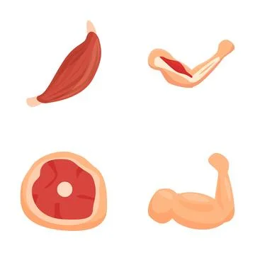 Assorted meat cut icons set Stock Illustration
