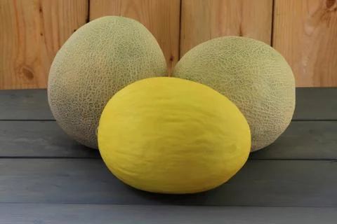 Assorted melons Stock Photos