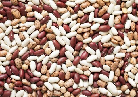 Assorted mix of red and white and variegated bean seeds with chickpeas Stock Photos