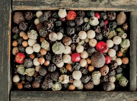 Assorted mixed peppercorns Stock Photos