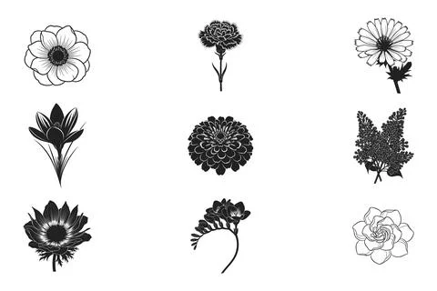 Assorted monochrome flower illustrations featuring anemone carnation and li.. Stock Illustration