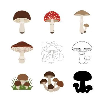 Assorted mushroom illustrations on a pure Stock Illustration