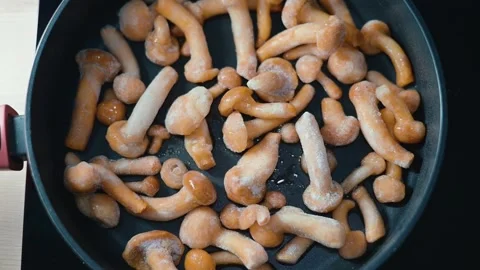 Assorted mushrooms are arranged in a frying pan, ready for cooking. The focus is Stock Footage 339094507