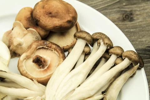 Assorted Mushrooms in plate on the table Stock Photos