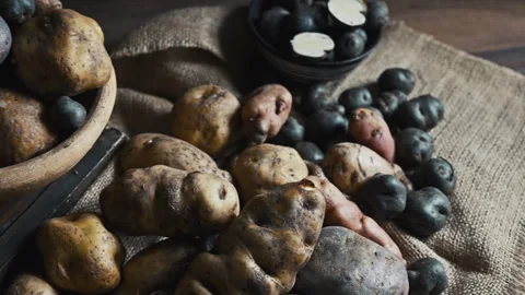 Assorted native Peruvian potatoes and purple chips in a rustic setting. Stock Footage 339078450
