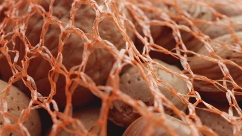 Assorted netted shelled nuts extreme close up stock footage Vídeo Stock 310938497