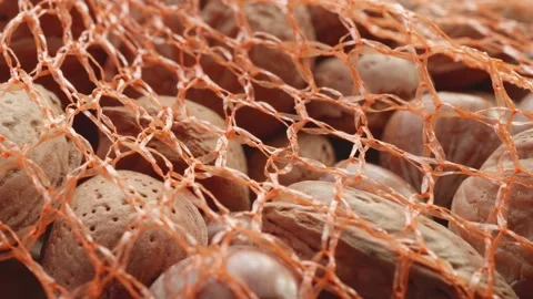 Assorted netted shelled nuts extreme close up stock footage Видео 310938735