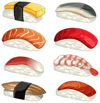 Assorted Nigiri Sushi Vector Illustration Set on White Background Stock Illustration