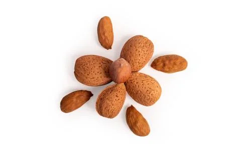 Assorted nuts of almonds and hazelnuts Stock Photos