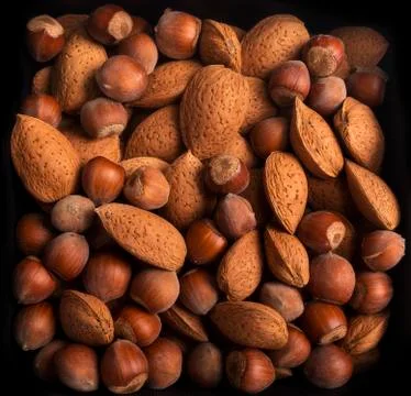 Assorted nuts of almonds and hazelnuts Stock Photos
