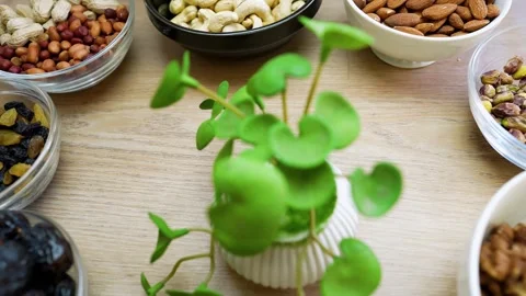 Assorted Nuts and Dried Fruits with Plant Centerpiece Stock Footage 320726248
