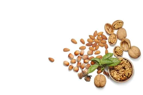 Assorted Nuts and Fresh Basil on White Background 库存照片