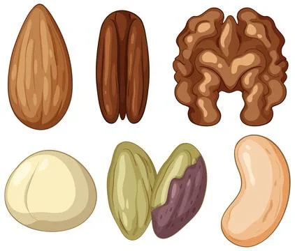 Assorted Nuts and Seeds Vector Illustration Set 스톡 일러스트