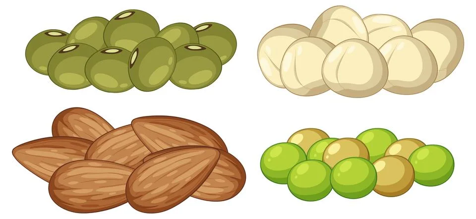 Assorted Nuts and Seeds Vector Illustration Collection Stock Illustration