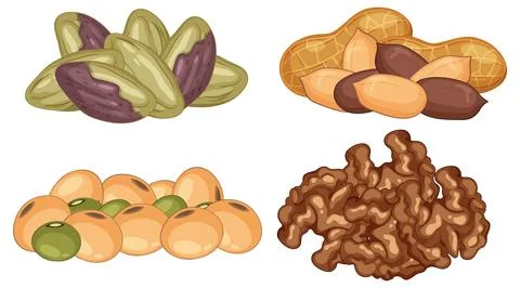 Assorted Nuts and Seeds Vector Illustration Collection Stock Illustration