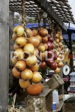 Assorted Onions Hanging At An Outdoor Market