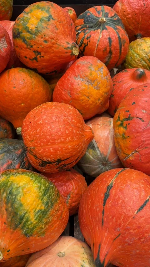 Assorted orange and green pumpkins arranged closely, showing textured skins.. Stock-Footage 348064878