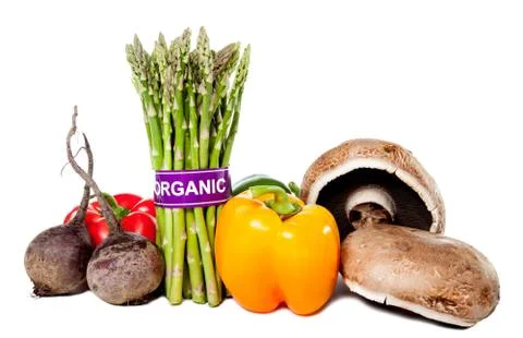 Assorted organic labeled vegetables isolated on white Stock Photos
