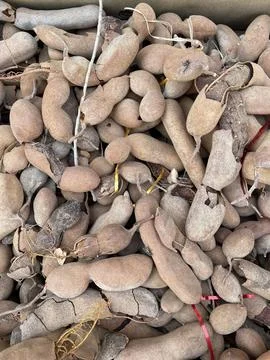 Assorted Pakistani Root Vegetables and Tamarind Foto stock