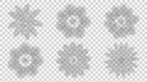 Assorted palm tree species outline sketches top view on transparent Stock Illustration