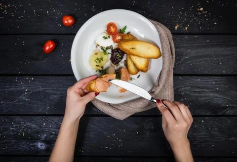 Assorted pates with fried bruschetta. Stock Photos