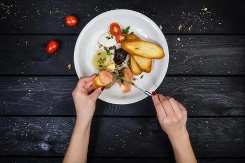 Assorted pates with fried bruschetta. Stock Photos