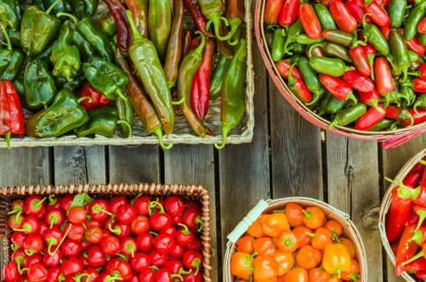 Assorted peppers in different baskets Stock Photos