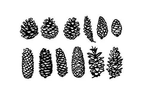 Assorted Pine Cones Silhouette Collection. Vector icon. Stock Illustration