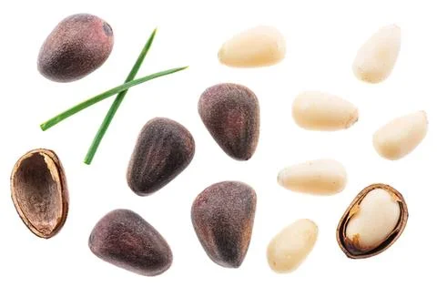 Assorted pine nuts and seeds on white background Stock Photos