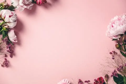Assorted pink flower border on pink background, flat lay Stock Photos