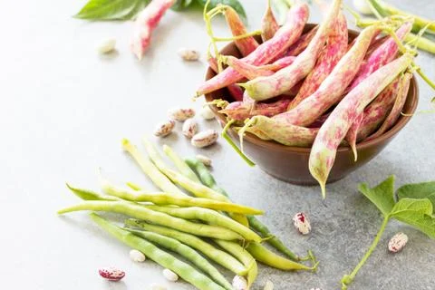 Assorted pod of beans and beans. Red and green beans. Stock Photos