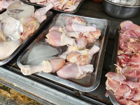 Assorted poultry cuts arranged stainless tray. Stock Photos